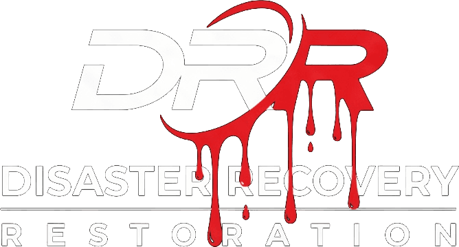 DRR — Disaster Recovery Restoration