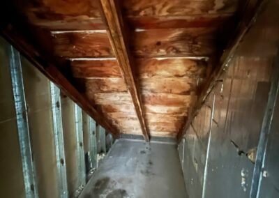 mold remediation