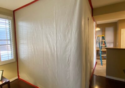 mold remediation containment