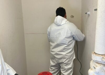 mold remediation and removal phoenix