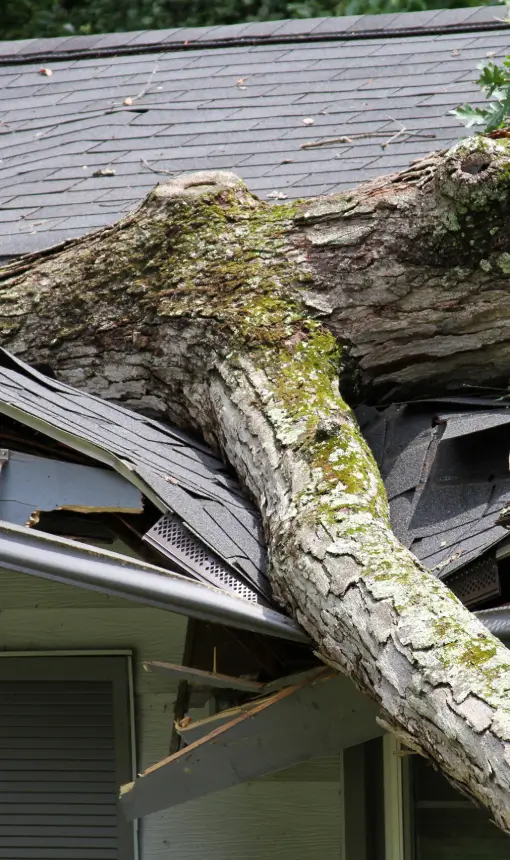 Professional storm damage repair