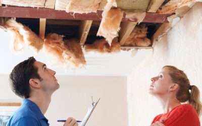 What You Should Know About Restoration from Water Damage