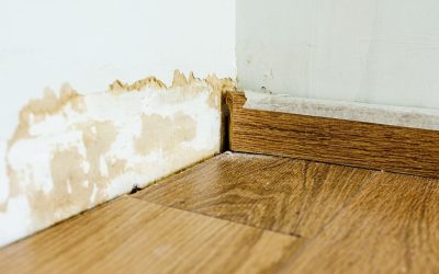 Buying a Home with Water Damage: Repair and Restoration 101